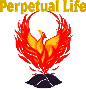 Church of Perpetual Life