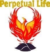 Church of Perpetual Life